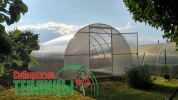 Теплица сверхпрочная Сибирская XXL 8 метров (ТРУБА 40х20, шаг 0,67)