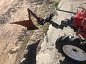 Минитрактор на базе мотоблока с адаптером АМ-4 (16 л.с., кол. 7х12,передачи 3+1)